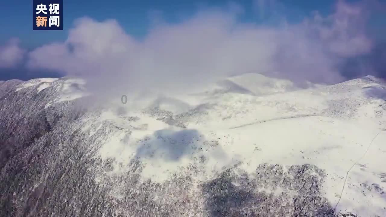 胆固醇是一种脂类物质，它在人体中起着重要的生理功能